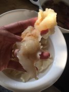 电压锅鱼胶炖鸡汤(花胶煲鸡汤放什么材料)