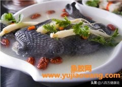 红参可以炖鱼胶吗(红参炖花胶什么时候吃最好)