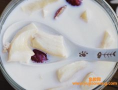 鱼胶美容做法大全(花胶的吃法与做法大全)