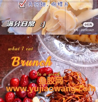 鱼翅鱼胶浓汤制作(花胶鱼翅煲鸡放什么汤料好)