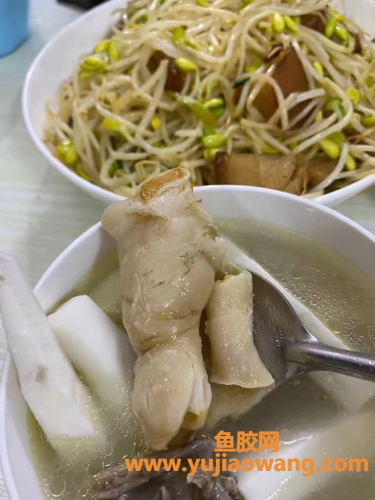 鱼胶炖牛奶椰子肉(椰子炖花胶的功效与作用)