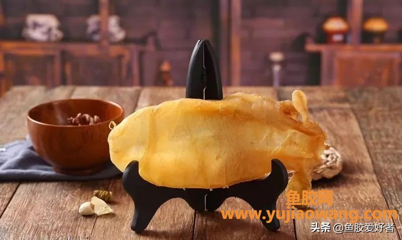 鱼胶是越大越营养越好吗(100头花胶好还是60头的好)