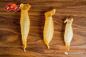刨腹产多少天后能吃鱼胶(产后什么时候可以吃鱼胶)