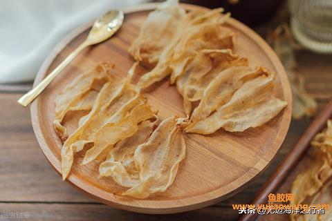 青少年能吃鱼胶吗（鱼胶怎样吃有助增长身高）