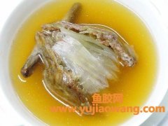 孕33周可以喝鸽子鱼胶汤吗（孕妇可以喝花胶炖鸽子汤吗）