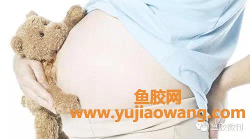 怀孕早三个月能吃鱼胶吗（怀孕几个月吃鱼胶最好）