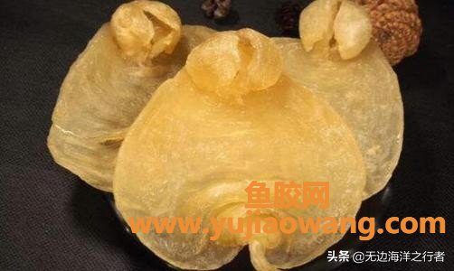 最好的大耳鱼胶产地（花胶哪里产的最好）