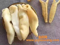 怎样看鱼胶炖好没（新鲜鱼胶怎么炖最好的）