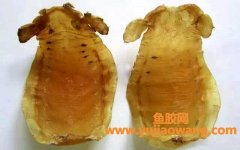 孕妇吃什么样鱼胶（孕妇吃鱼胶有什么好处）
