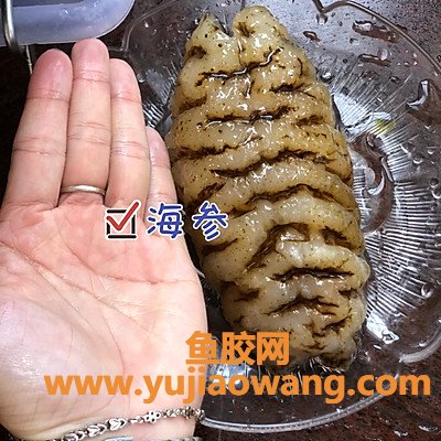 海参和鱼胶鸡肉可以一起炖吗（鸡肉炖海参的做法）