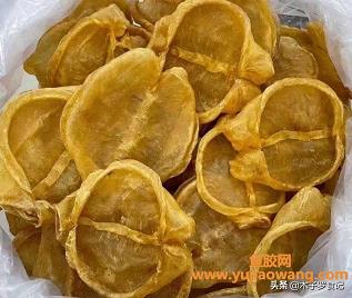 免鱼胶可以炖鸡吗（鱼胶怎么炖最有营养）