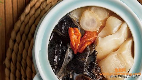 鱼胶炖乌鸡的做法大全（鱼胶炖乌鸡有什么功效）