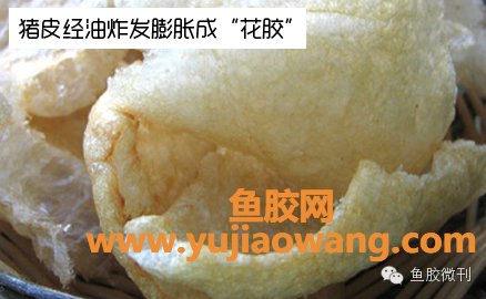 假鱼胶炖后是什么样子（假鱼胶和真鱼胶的区别）