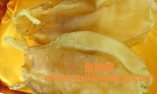淋巴麟癌能吃鱼胶吗（癌症病人能吃鱼胶吗）