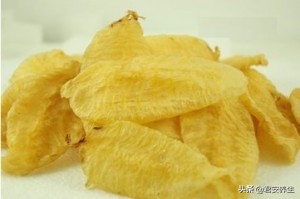 石斛鱼胶汤花旗参的功效（石斛花胶汤的做法大全）