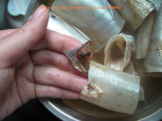小熊养生壶可以煮鱼胶吗（养生壶可以煮哪些东西）