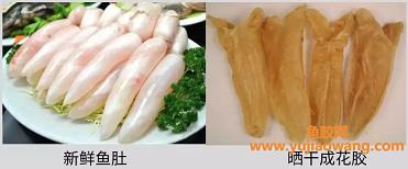 吃什么好深海鱼胶（深海鱼胶的功效与作用及食用方法）