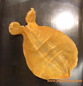 多囊可以喝鱼胶吗（多囊卵巢综合症可以吃花胶吗）