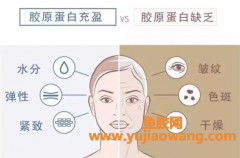 吃什么好深海鱼胶（深海鱼胶的功效与作用及食用方法）
