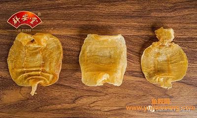怀孕15周可以吃鱼胶吗（孕妇能不能吃鱼胶吗）