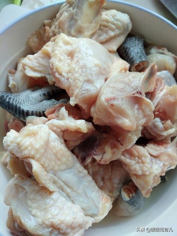 坐月子鱼胶炖什么不好一点（月子吃花胶炖鸡的做法大全）