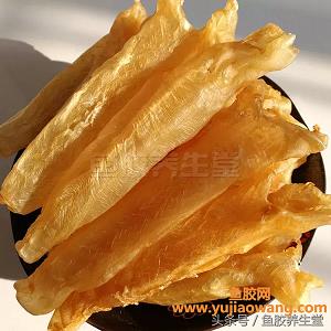 孕妇初期能吃鱼胶吗（鱼胶怎么炖适合孕妇吃）