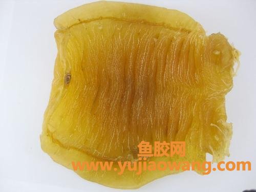 临产一周天天吃鱼胶（孕晚期吃鱼胶对胎儿好吗）