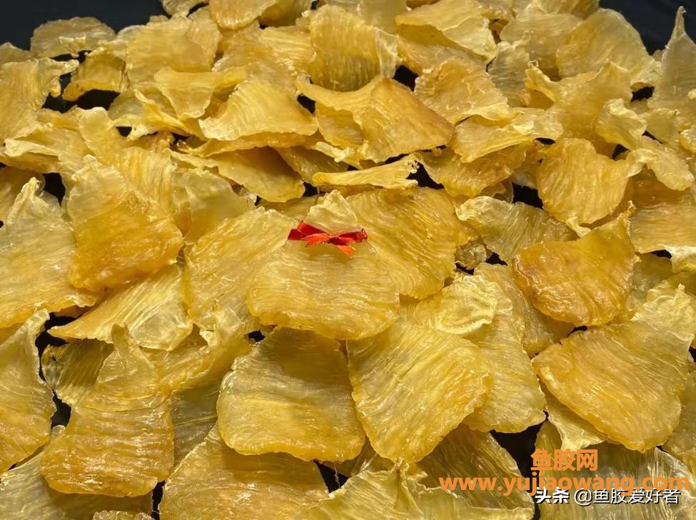 鱼胶在哪里买得到（花胶在哪里能买到正品）