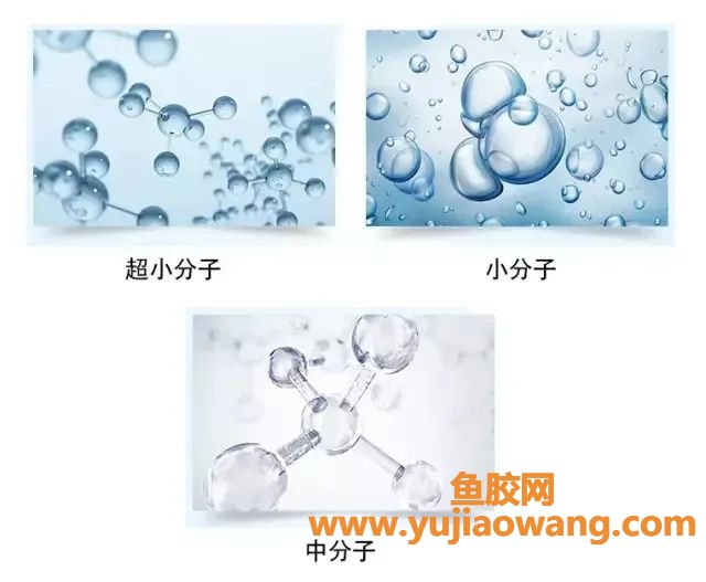 鳕鱼胶原蛋白肽的副作用（为什么医生不建议喝胶原蛋白肽）