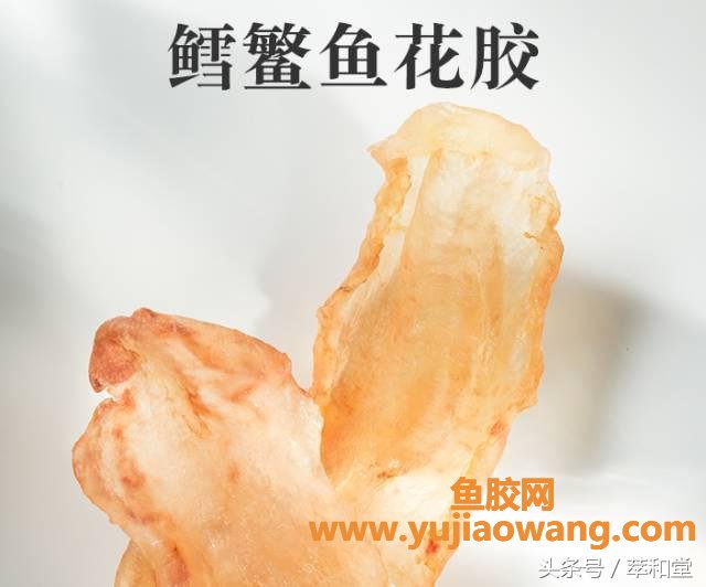 高血压老人可以吃鱼胶吗（鱼胶对三高人群有好处吗）