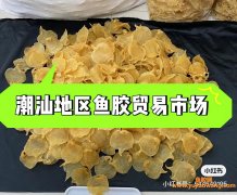 鱼胶在哪里买得到（花胶在哪里能买到正品）