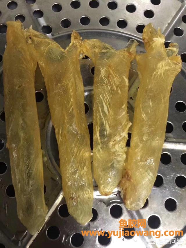 牛奶鱼胶小孩能吃（鱼胶怎么吃效果最好）