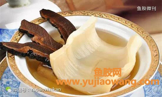 鱼胶可以吃饱吃吗（鱼胶怎么吃效果最好）