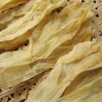 鱼胶早上吃还是晚上吃好（鱼胶什么时候吃最好）