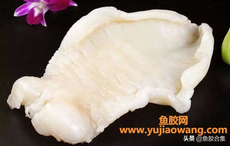 鱼胶变质了是怎么样（鱼胶有假货吗）