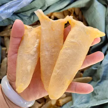 孕34周还能吃鱼胶燕窝吗（孕妇吃鱼胶好还是燕窝好）