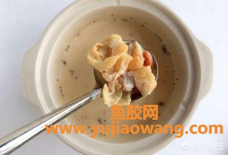 中期孕妇能吃鱼胶吗（孕妇必吃的12种食物）
