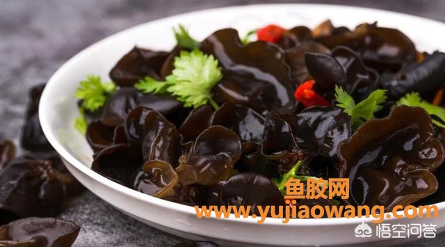 甲状腺结节鱼胶能吃（鱼胶对甲状腺有帮助吗）