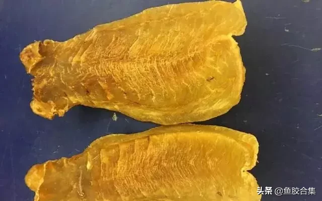 孕妇要吃什么鱼胶（孕妇怎么吃鱼胶效果最好）