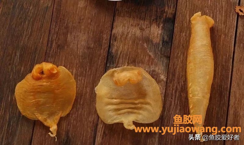 孕妇吃什么品种的鱼胶最好（刚怀孕吃什么对胎儿发育好）