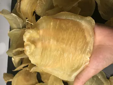 怀孕适合吃哪种鱼胶（孕妇吃花胶最佳时间）