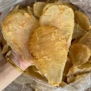 有点感冒可以吃鱼胶炖鸡(感冒可以吃花胶吗？)
