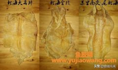苏里南哪盛产鱼胶(北海金钱鱼胶是什么鱼？)