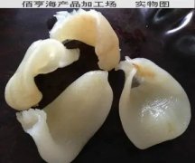 泡鱼胶要用什么水(鱼胶要泡多久？)