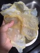 鱼胶炖鸡肉的做法大全(花胶煲鸡汤的做法？)