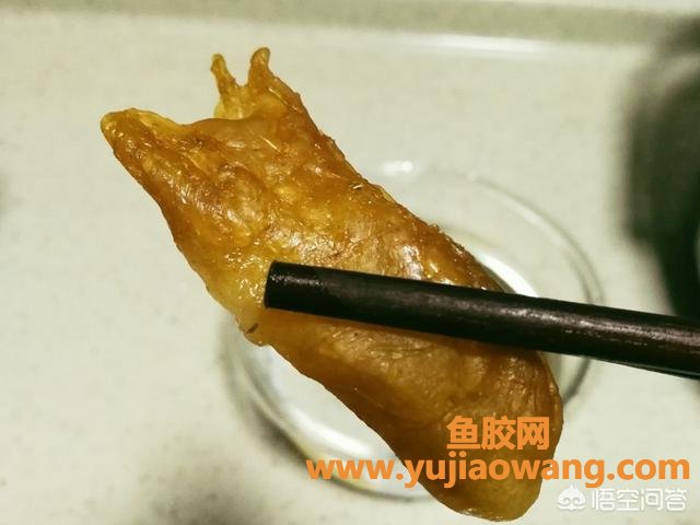 鱼胶可以炖牛奶一起炖吗(鱼胶炖牛奶是一起放进去炖吗？)