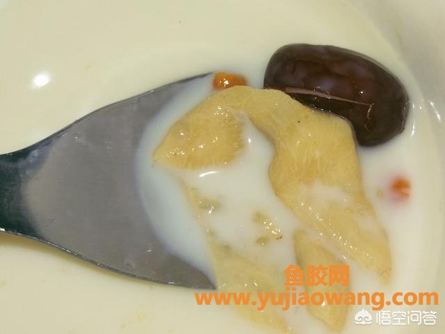 鱼胶可以炖牛奶一起炖吗(鱼胶炖牛奶是一起放进去炖吗？)