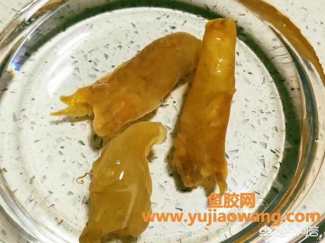 鱼胶可以炖牛奶一起炖吗(鱼胶炖牛奶是一起放进去炖吗？)