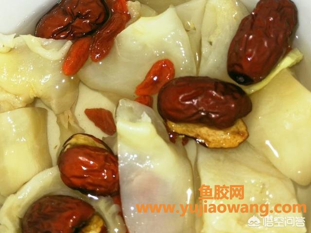 鱼胶可以炖牛奶一起炖吗(鱼胶炖牛奶是一起放进去炖吗？)