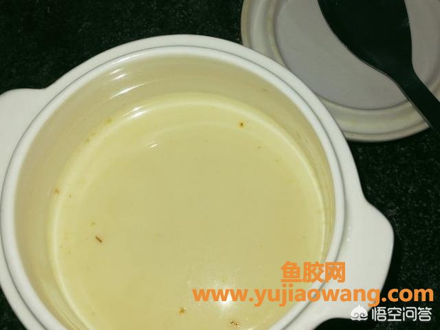 鱼胶可以炖牛奶一起炖吗(鱼胶炖牛奶是一起放进去炖吗？)